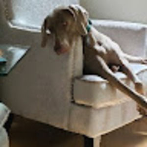 Meet your Posher, Roseann